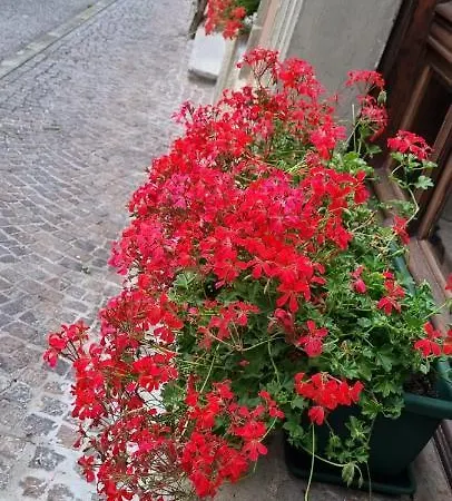 Ξενοδοχείο Spina *