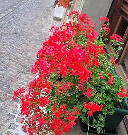 Otel Spina Pontebba